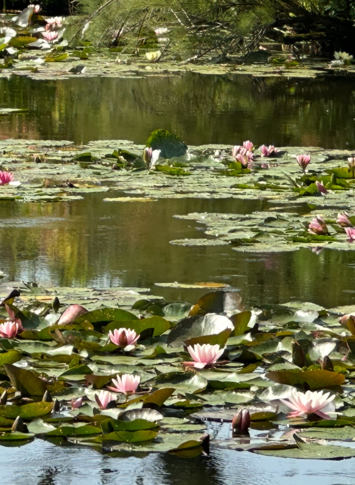 베르사유 궁전 관람 꿀팁 총정리